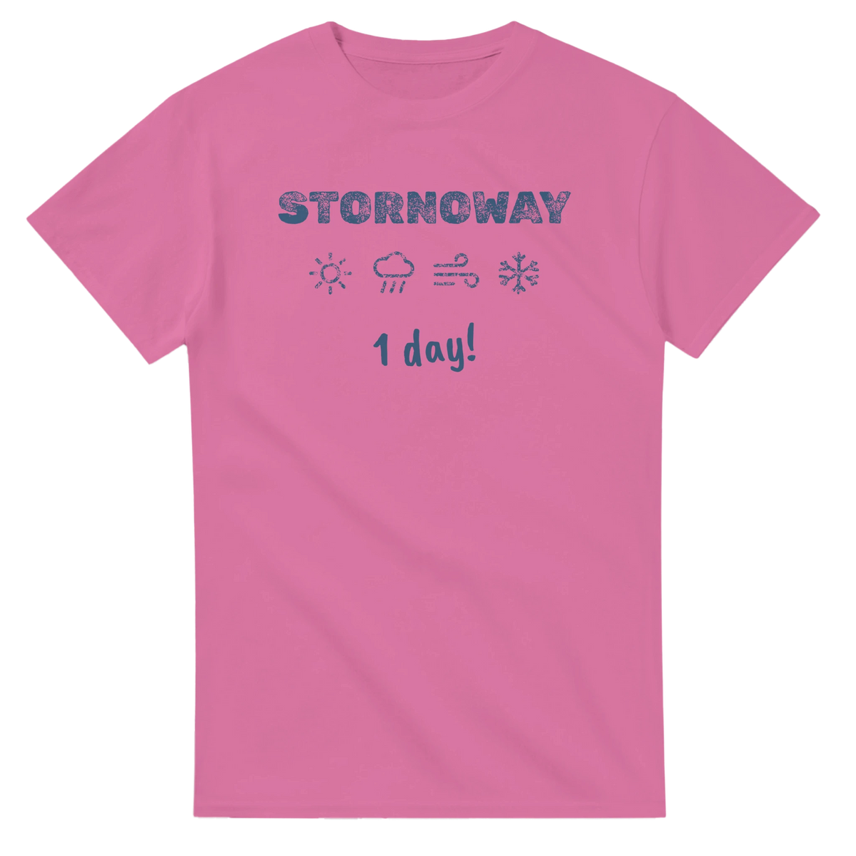Stornoway Four Seasons in One Day t-shirt - view 4