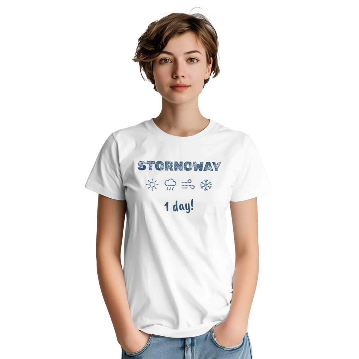Stornoway Four Seasons in One Day t-shirt - view 12
