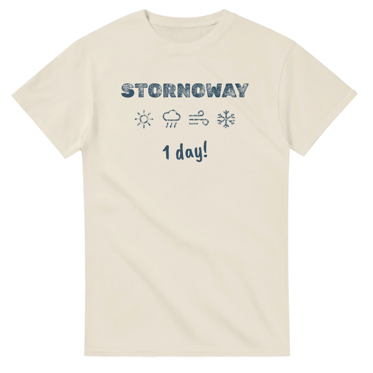 Stornoway Four Seasons in One Day t-shirt - view 3