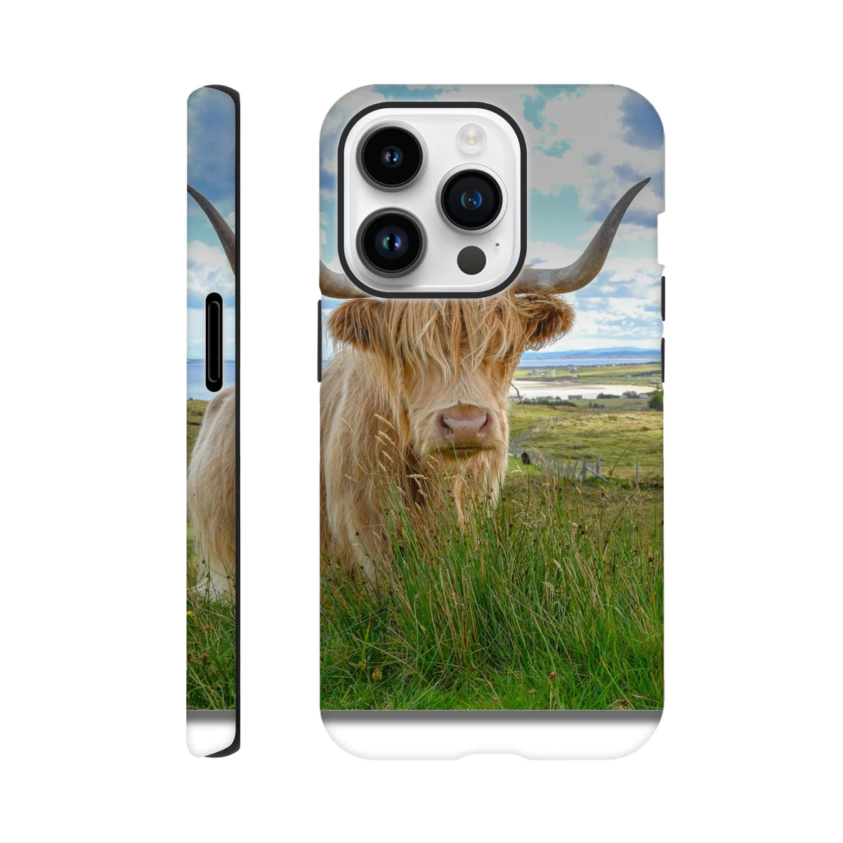 e3127510-afca-42e4-bb2e-0093591b35f4